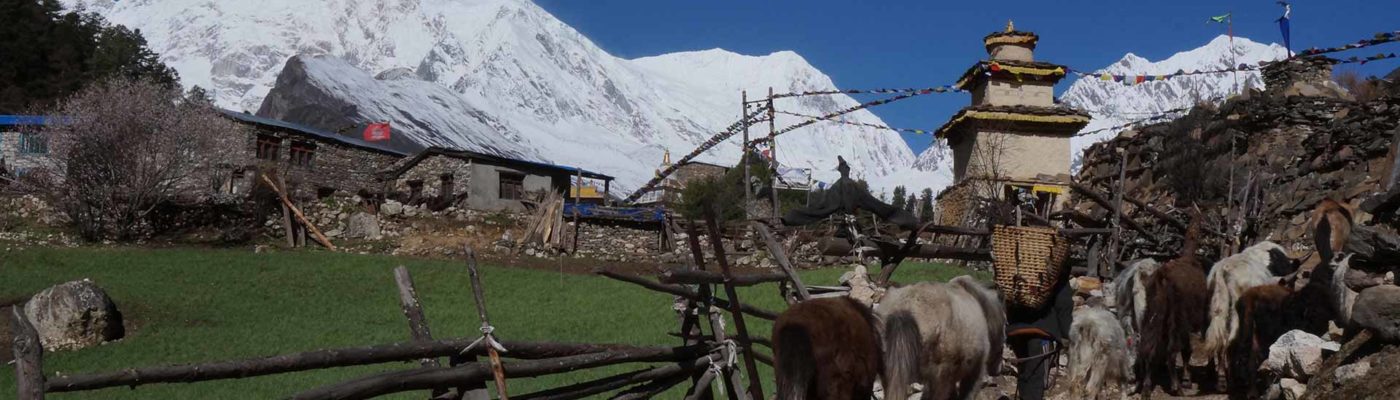 Manaslu circuit trekking