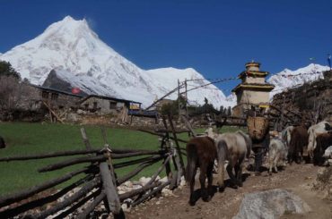 Manaslu circuit trekking