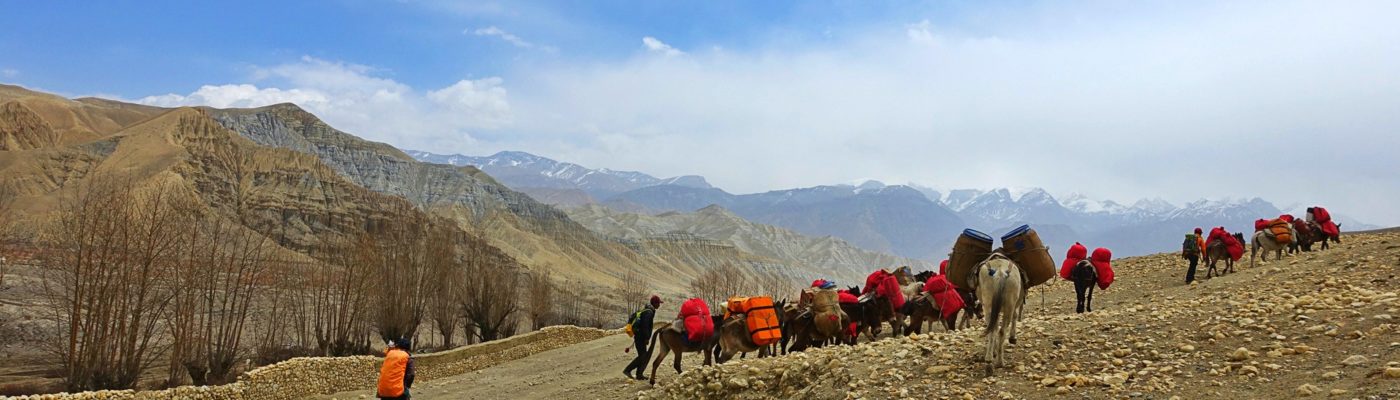 Upper Dolpo Trekking