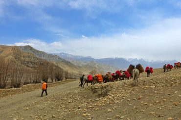 Upper Dolpo Trekking